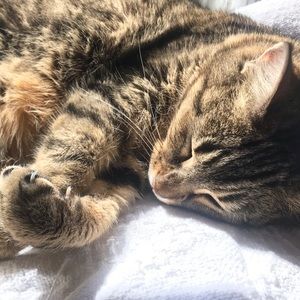 Meet your Posher, Albany